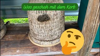 Was geschah mit dem Korb ￼ [upl. by Oiceladni]