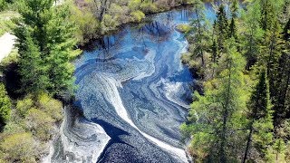 Beautiful Spring Colours and Pollen Patterns on Barrys Brook MAVIC 2 PRO 4K UHD [upl. by Yanal]