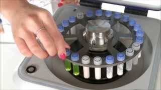 BeadBlaster24 Tissue Homogenizer for lysis grinding and homogenization [upl. by Annayat217]