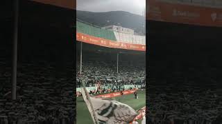 Bursasporun 61 yılı Bursa Atatürk Stadyumunda kutlanacak bursaspor [upl. by Eceryt984]