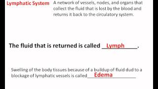 Lymphatic System Video lessonwmv [upl. by Ralyt921]