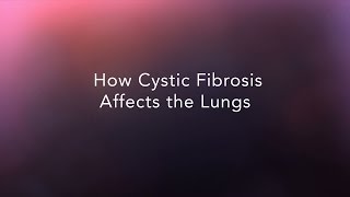 How Cystic Fibrosis Affects the Lungs [upl. by Akialam386]