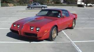 1981 Pontiac Trans Am [upl. by Ddal]