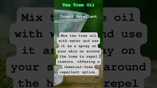 DIY Natural Insect Repellent with Tea Tree Oil  Best Organic Oil Link [upl. by Hands]