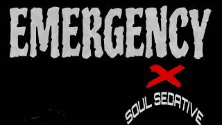 EMERGENCY  Ale rappdinata x soul sedative Music Audio [upl. by Dareg]