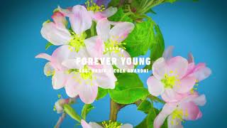 Sagi Kariv Ft Chen Aharoni  Forever Young [upl. by Egas334]