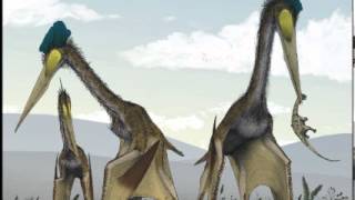 David Cagle  Quetzalcoatlus childrens song [upl. by Glaser]