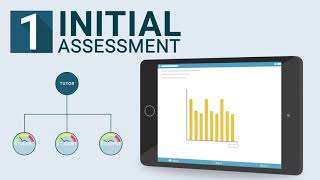 bksb Functional Skills Initial Assessment [upl. by Annwahsal]