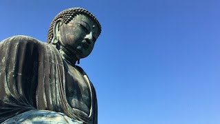 🚶‍♂️ Great Buddha Statue in Kamakura Japan  鎌倉の大仏  Softypapa Adventures  Walking in Japan [upl. by Erbas774]