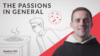 The Passions in General Aquinas 101 [upl. by Torie]