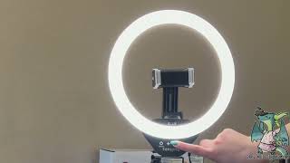 Unboxing and Review of Sensyne 10inch Ring Light Tripod [upl. by Yr254]