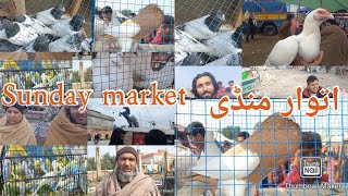 Sandy market Itwar mandi Hazro Birds Market goat market اتوار منڈی حضرو [upl. by Chemash]