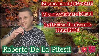 ROBERTO DE LA PITESTI 💥 COLAJ MUZICA DE PETRECERE 2024 💢 SPECIAL PT LILI [upl. by Attaynek309]