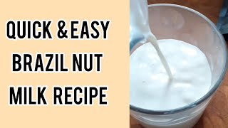 Brazil Nut Milk Recipe How to Make Brazil Nut Milk Quick amp Easy  Nuts Dont Need Soaking shorts [upl. by Amsirac]