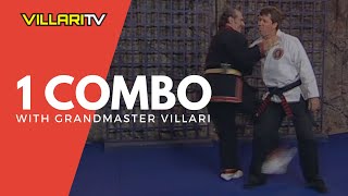 1 Combination  Shaolin Kempo Karate  Grandmaster Villari [upl. by Femi]