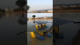 paddle wheel aerator [upl. by Oecile435]