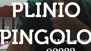 musica plinio pingolo [upl. by Leik]