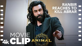 ANIMAL SCENE 23 Ranbir Reaches To Kill Abrar🔪  Ranbir K Bobby Deol Sandeep V Bhushan K [upl. by Eyahc182]