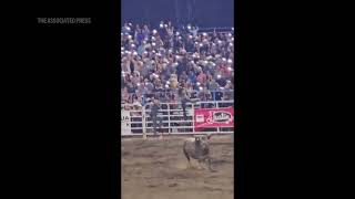 Bull escapes Oregon rodeo arena in ‘alarming’ but ‘very rare’ event [upl. by Heiskell]