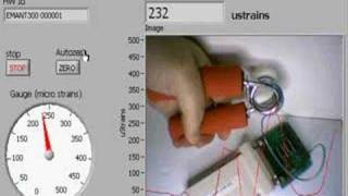 Hand Dynamometer [upl. by Trixy546]