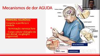 Fisiologia da dor crônica [upl. by Hedges]