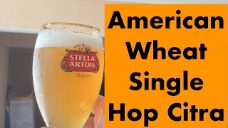 15 Brassagem Cerbeça  American Wheat Single Hop DH Fermentasaurus como fazer cerveja Artesanal [upl. by Eilyw]