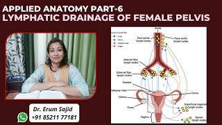 Lymphatic Drainage of Female Pelvis  DNB Theory Class  DNB OBGYN coaching All India chapter [upl. by Cristie]