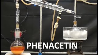 PHENACETIN SYNTHESIS WILLIAMSON ncchem [upl. by Jody]