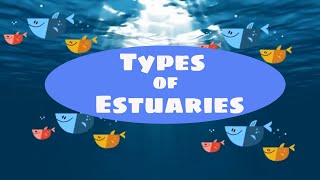 Types of estuaries [upl. by Gradey]