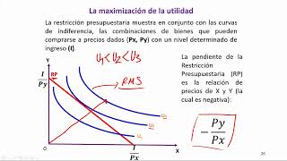 Clase de Economía  Maximización de la Utilidad [upl. by Komara]