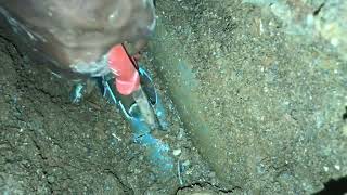 Drainage blockage drainage drain troubleshooting [upl. by Ahtanaram47]