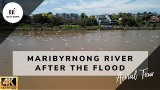 Maribyrnong River After The Flood  16 Oct 2022  4K Aerial [upl. by Martainn782]