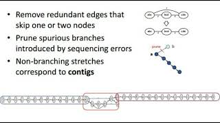 Overlap vs Debruijn graphs  Genome assembly [upl. by Lait]