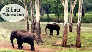 KGudi Wilderness Camp  Jungle Lodges and Resorts B R Tiger Reserve  India Ghoomo [upl. by Sinnaiy]