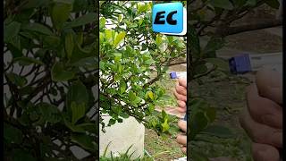 Repelente de plagas para el jardin con vinagre blanco diy juntamugrecesar tips espaciodecesar [upl. by Akedijn690]