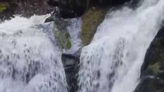 Highest waterfall in Germany  Black Forest  quotTriberger Wasserfällequot [upl. by Aisercal]