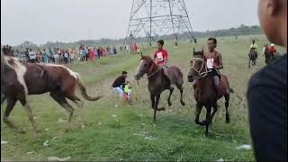 horse racing accident 😳😮😮 [upl. by Repard]