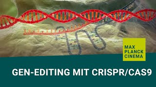 Genediting mit CRISPRCas9 english subtitles [upl. by Aim]