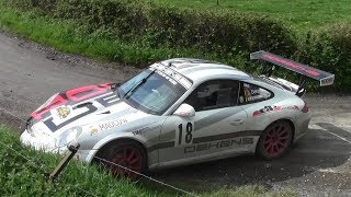 Rallye Salamandre 2018 Big Show and Mistakes HD [upl. by Ahsoyem]