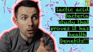 lactic acid bacteria study that proves it has health benefits [upl. by Evangeline]