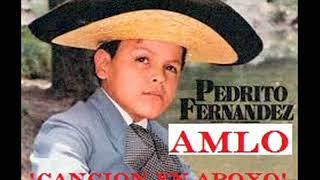 Pedrito Fernandez Le canta a quotAMLOquot [upl. by Gavan]