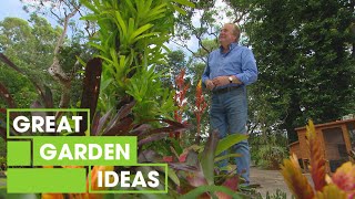 How to Grow Bromeliads  GARDEN  Great Home Ideas [upl. by Monson]