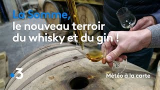 La Somme le nouveau terroir du whisky et du gin   Météo à la carte [upl. by Inek]