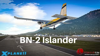 X Plane 11  Torquesim BN 2 Islander [upl. by Enaxor]