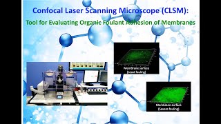 Confocal Laser Scanning Microscope CLSM Tool for Evaluating Organic Foulant Adhesion of Membranes [upl. by Nyleimaj693]