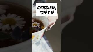 ❌️Chocolate Café o té ⚠️ TÓXICOS para tu mascota auxiliarveterinario mascotas [upl. by Winou]