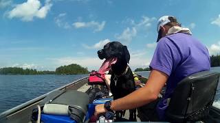 Camping at Voyageurs National Park [upl. by Nickles]