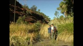 Naturwunder Australien 14 Palm Valley  Kings Canyon [upl. by Suoicerpal402]