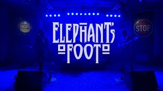 Elephants Foot  Tonspur Clubkonzert Februar 2019 [upl. by Bebe236]