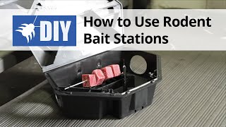 How to Use Rodent Bait Stations [upl. by Paschasia]